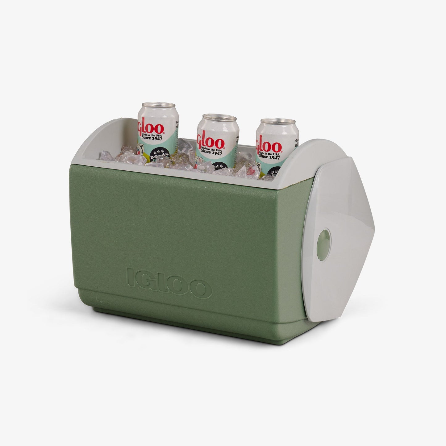 peanuts-take-care-of-the-earth-ecocool-playmate-elite-16-qt-cooler-g6 00027698-P1.jpg