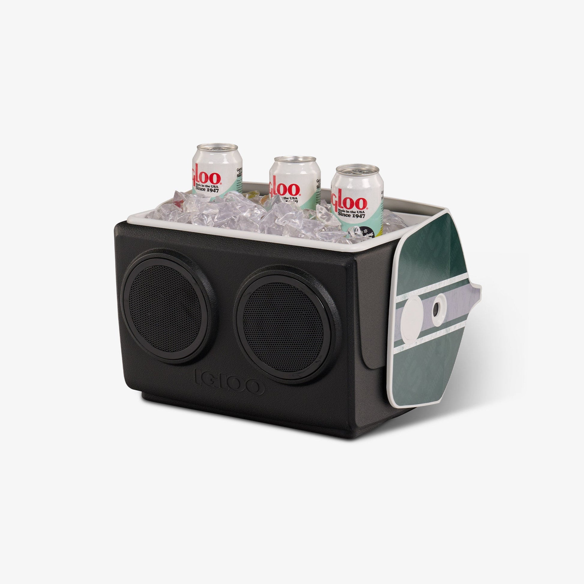 michigan-state-university-kooltunes-j3 00027730-P1.jpg