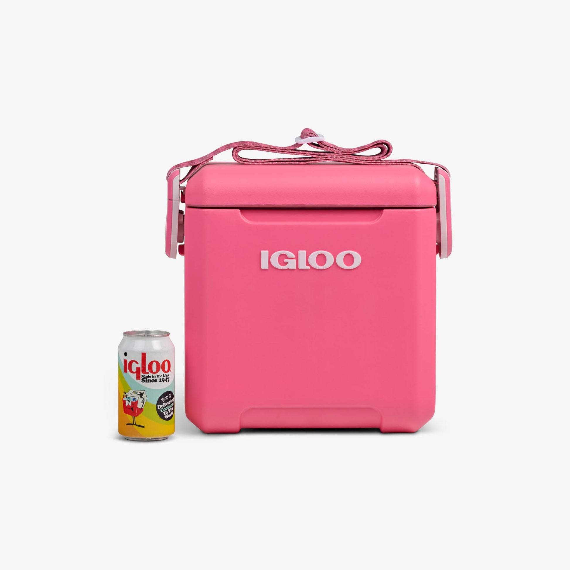 tag-along-too-remix-cooler-n5 00033199-P_861a5cd2-f15c-4217-a471-e33cc3890d9e.jpg