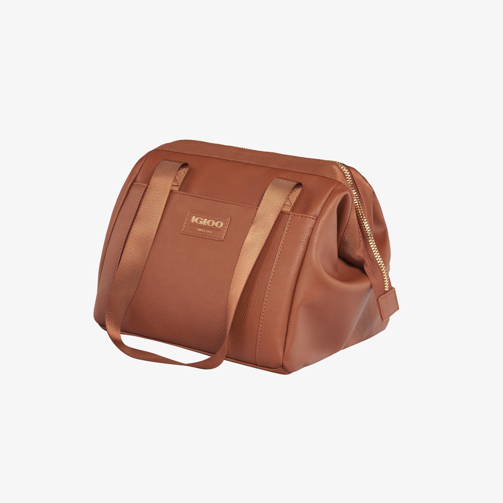 igloo-luxe-lunch-tote-cooler-bag-y5 00061160_2.jpg