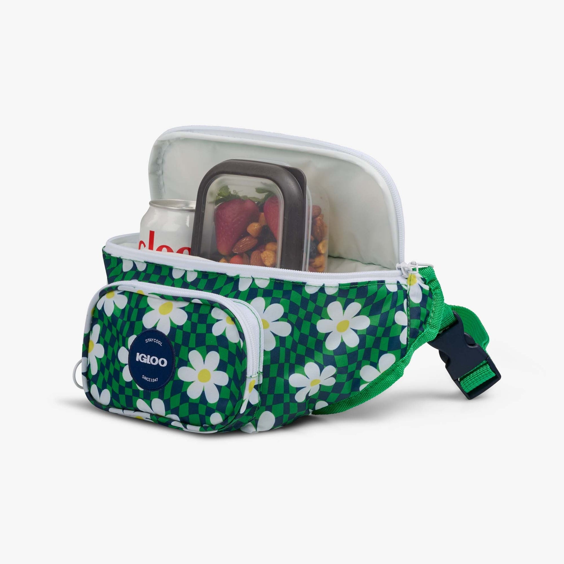 retro-fanny-pack-l6 00067206-P1.jpg